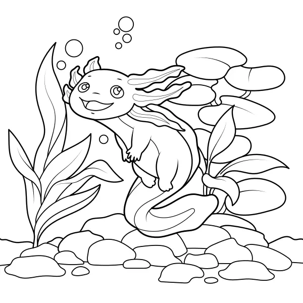 Axolotl | Online målarbilder för barn