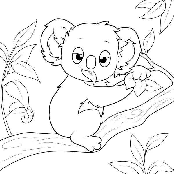 Koala | Online målarbilder för barn